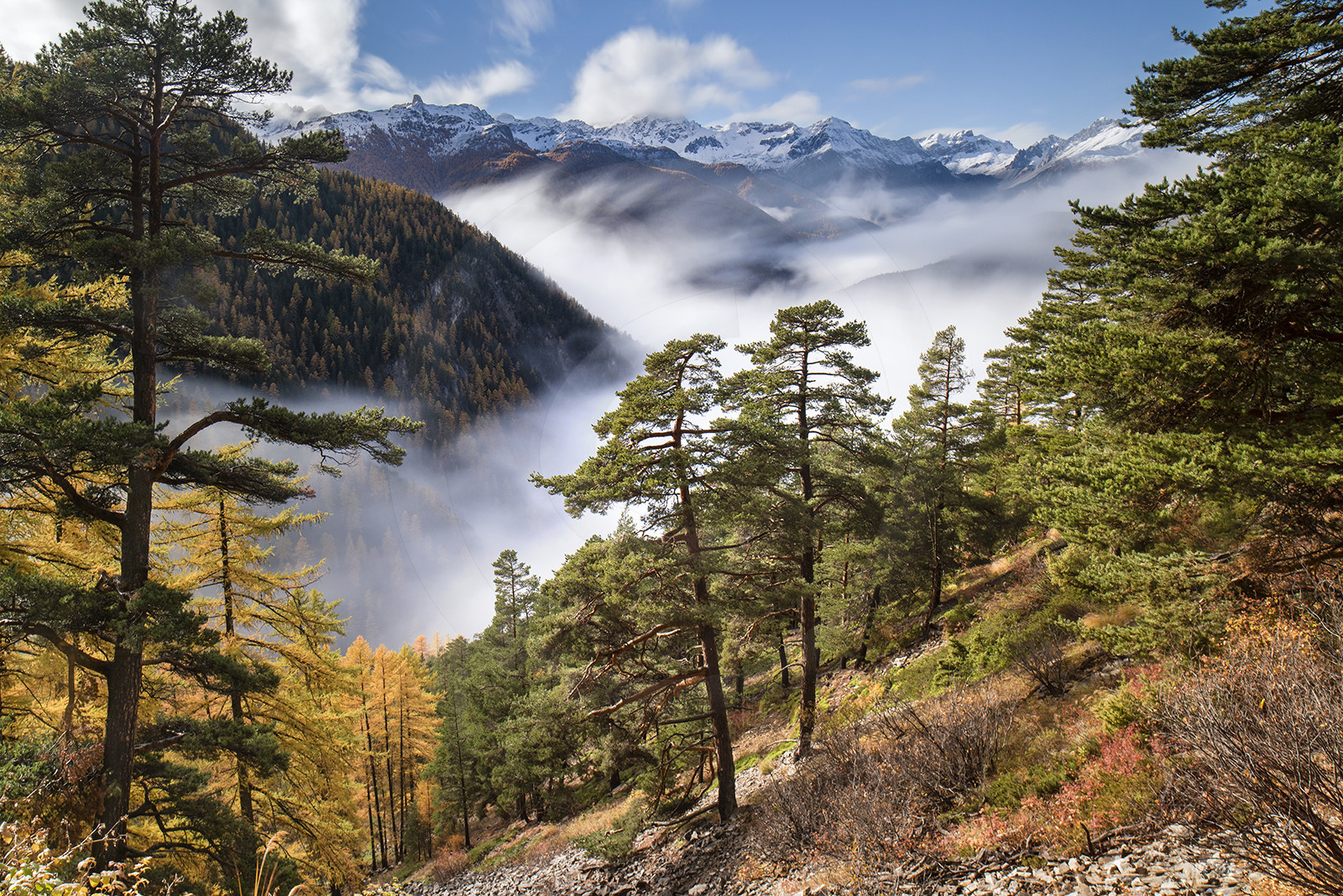 L'automne dans le Queyras© Duncan MacArthur