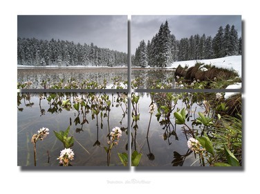 Seasonal mix up at the lake of Roue. Taken on May 15th.