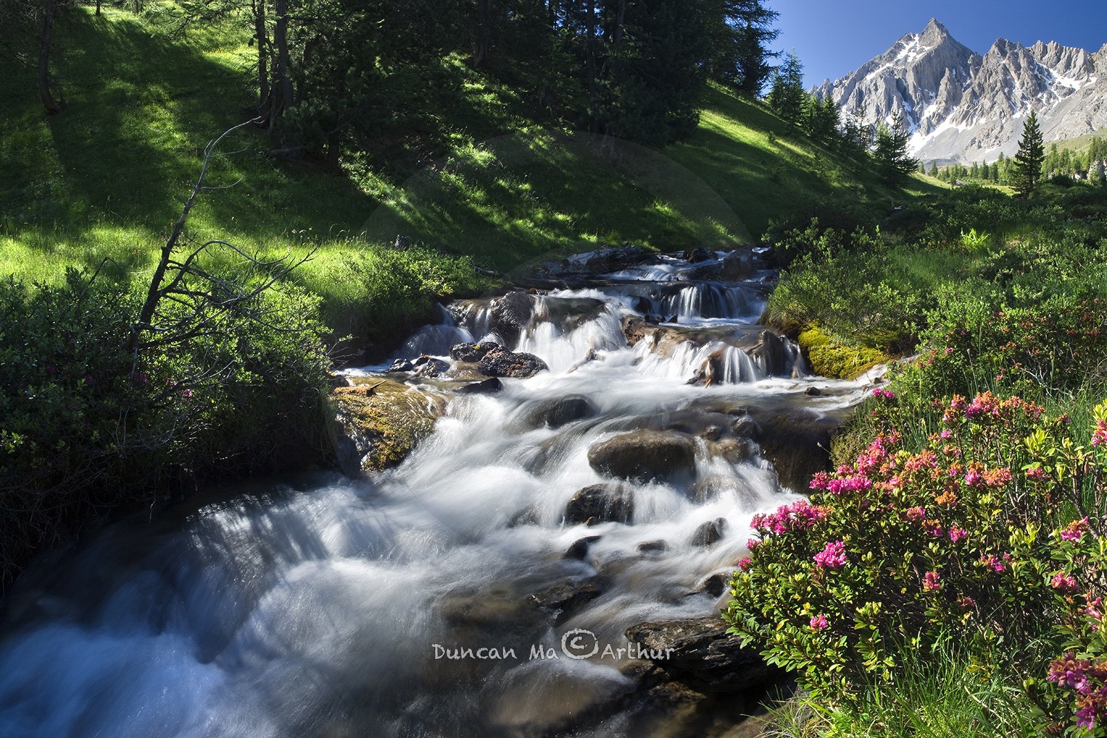 Torrent de la Pisse© Duncan MacArthur