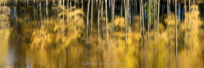 Couleurs d'automne au lac de Roue© Duncan MacArthur
