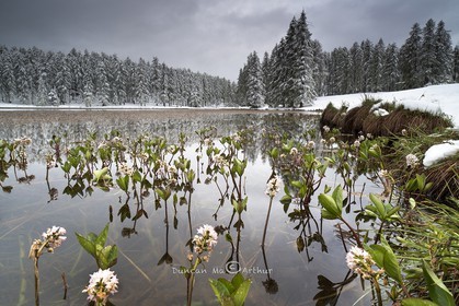 Les saisons se rencontrent le 15 mai au lac de Roue© Duncan MacArthur