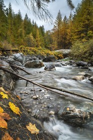 L'aigue Blanche en automne© Duncan MacArthur