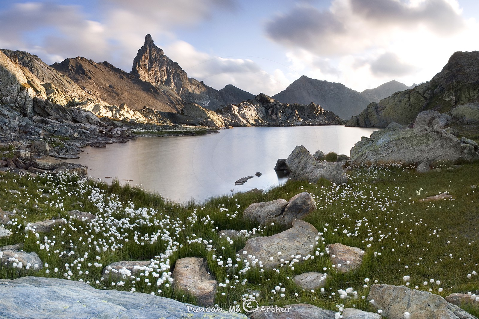 La tête des Toillies, le lac Blanchet supérieur et des linaigrettes© Duncan MacArthur