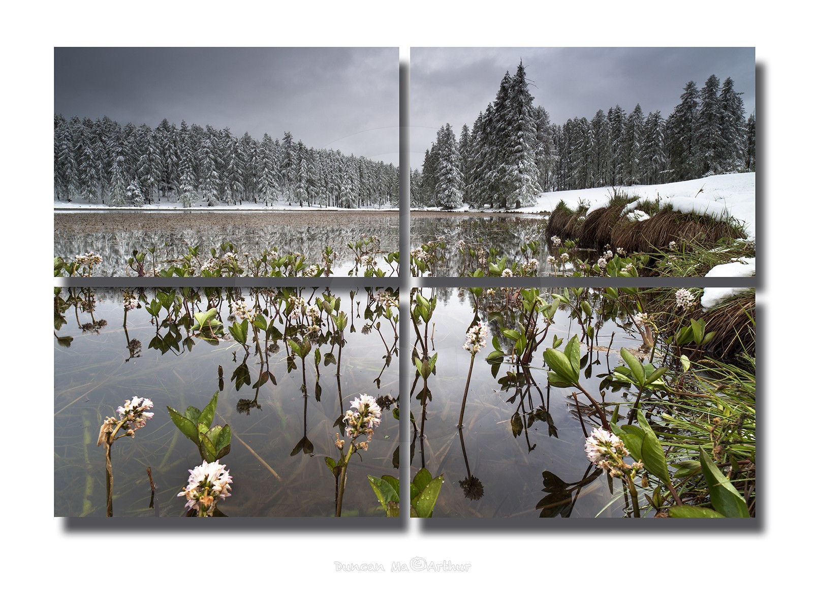 Les saisons se rencontrent au lac de Roue au 15 mai