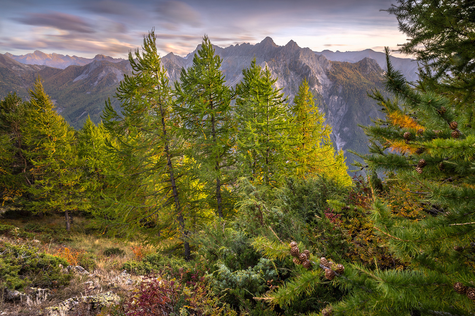 L'automne arrive au col de la Lauze© Duncan MacArthur