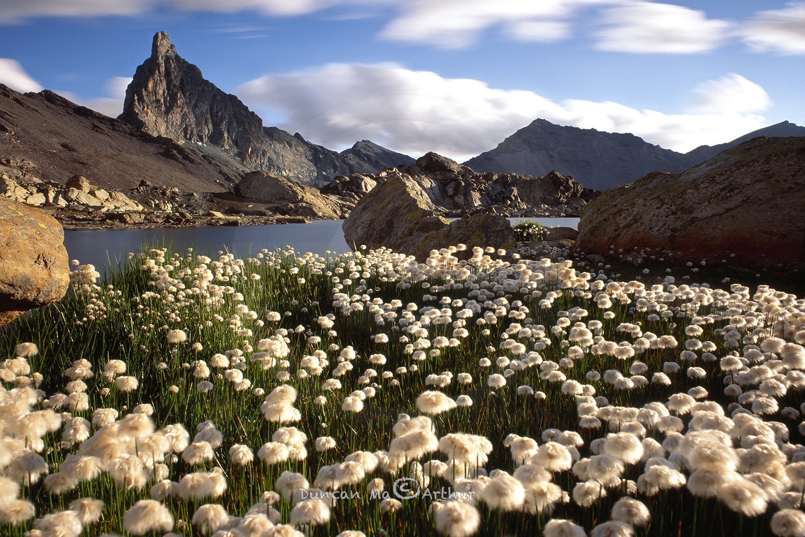 Linaigrettes, le lac Blanchet et la tête des Toillies© Duncan MacArthur