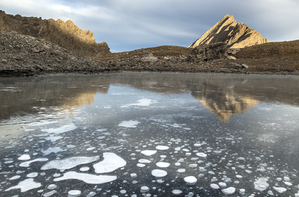 Fleur de glace sur le lac d'Asti© Duncan MacArthur