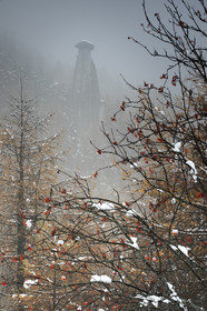 La demoiselle coiffée dans le brouillard© Duncan MacArthur