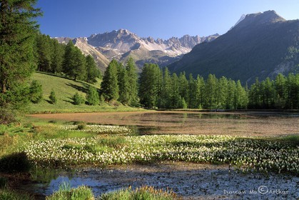 Le lac de Roue au mois de juin© Duncan MacArthur