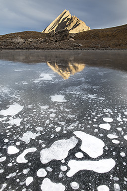 Une fleur de glace sur le lac d'Asti© Duncan MacArthur