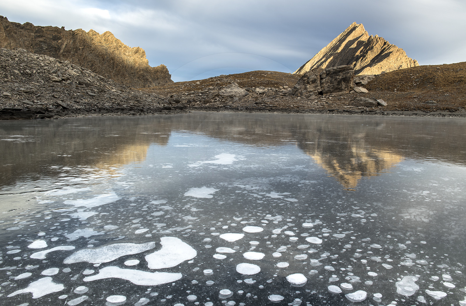 An ice flower on Asti lake