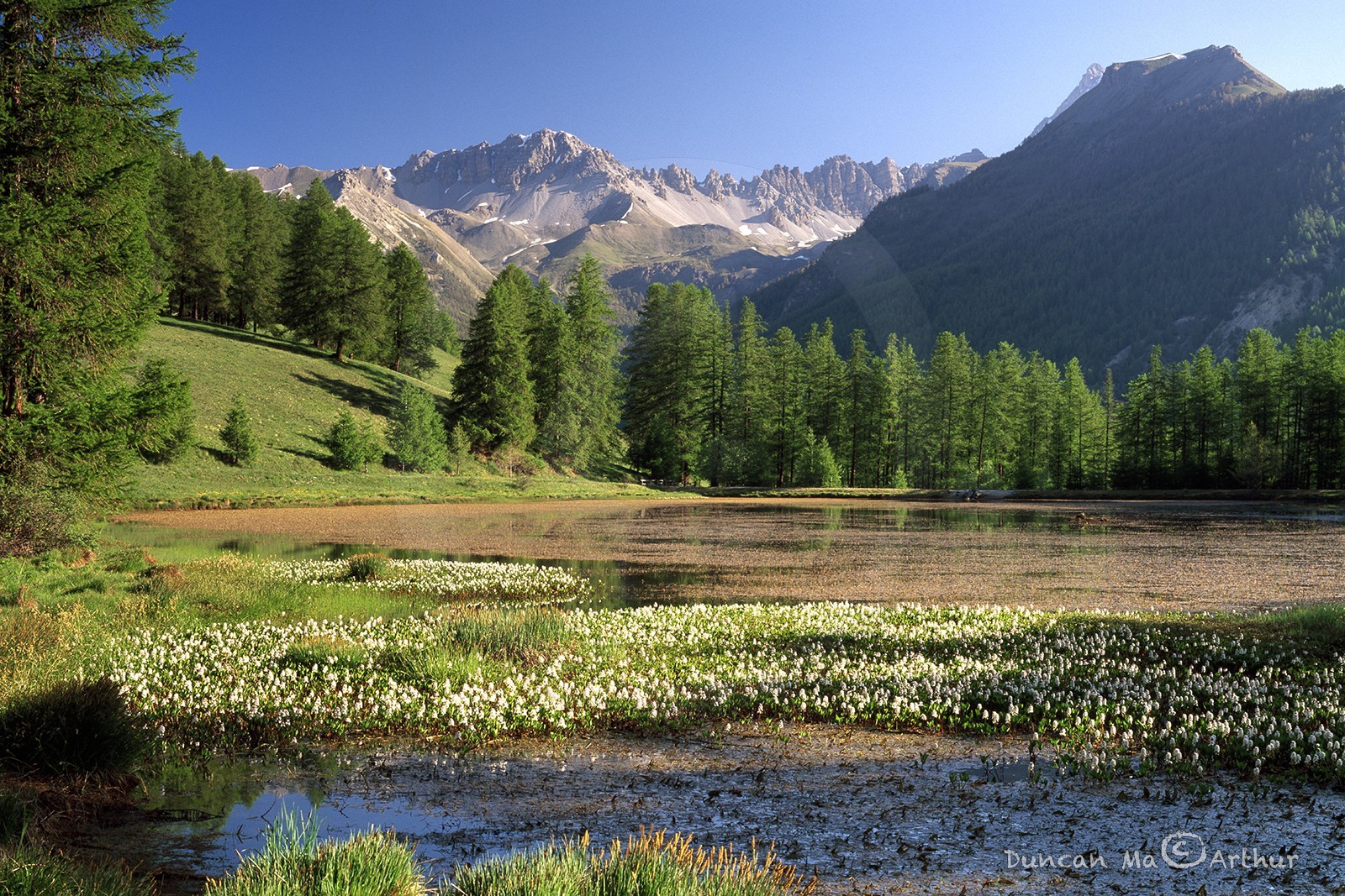 Le lac de Roue au mois de juin© Duncan MacArthur