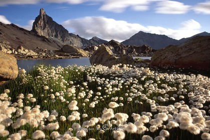 Linaigrettes, le lac Blanchet et la tête des Toillies© Duncan MacArthur