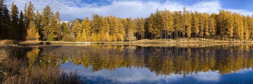 Couleurs d'automne au lac de Roue© Duncan MacArthur